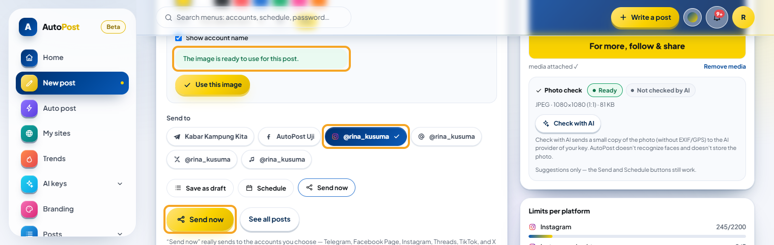 After Use this image: the green message "The image is ready to use for this post.", the Instagram account button selected under Send to, and the gold Send now button are highlighted. On the right, Photo check is labeled "Ready" with the line "JPEG · 1080×1080 (1:1) · 81 KB".