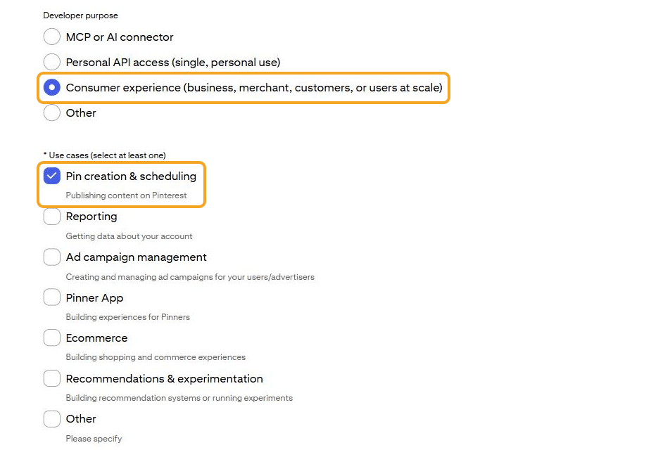Formulir Connect App, bagian kedua: Developer purpose "Consumer experience (business, merchant, customers, or users at scale)" dan Use cases "Pin creation & scheduling" terpilih dan disorot.