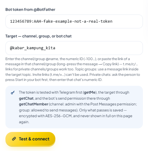 The same form with the token made visible through the browser's own eye icon. AutoPost doesn't provide a button to show the token; some browsers have their own eye icon.
