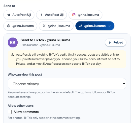 New post with a photo attached: in "Send to" only the TikTok account button @rina.kusuma (music note icon) is ticked; below it, the panel "Send to TikTok · @rina.kusuma" with the name "Rina Kusuma · @rina.kusuma", a Reload button, the yellow audit status note, the "Who can view this post" option still at "Choose privacy…", then "Allow other users" with the "Allow comments" checkbox (not ticked) and the note "For photos, TikTok only supports the comment setting."