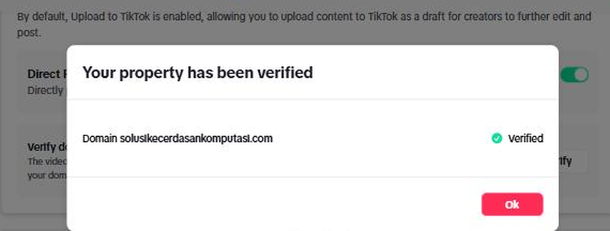 Jendela "Your property has been verified" di sandbox: "Domain solusikecerdasankomputasi.com — Verified" dan tombol Ok; di latar kartu Content Posting API dengan kalimat "By default, Upload to TikTok is enabled…" dan sakelar Direct Post.